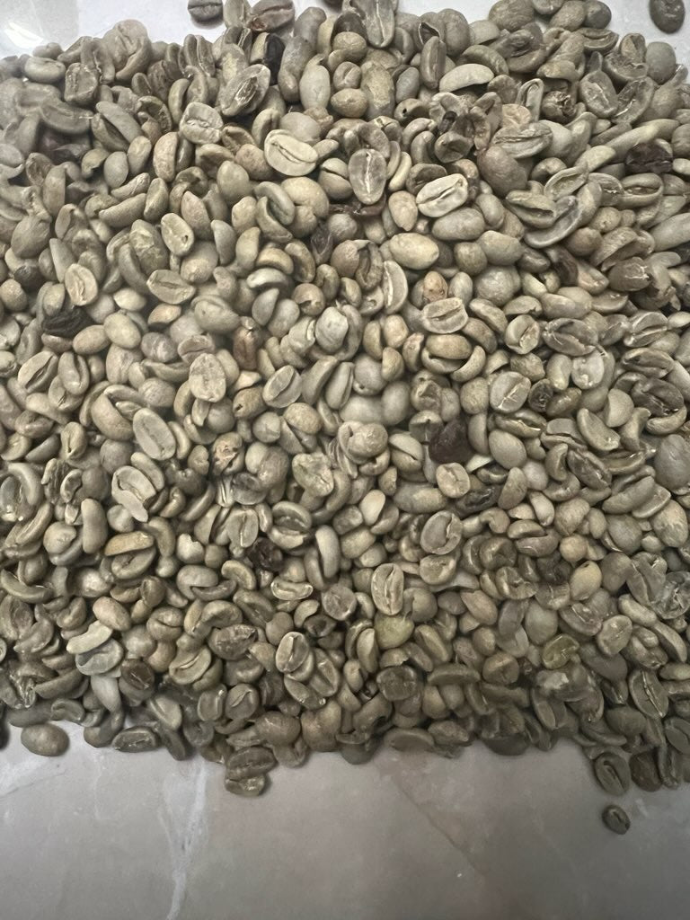 Guatemala Green Unroasted Grade B Coffee